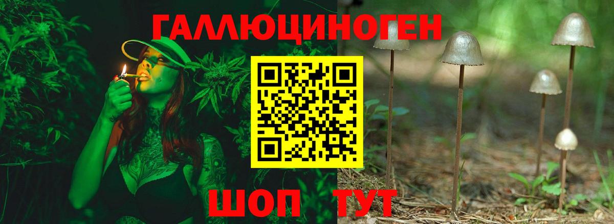 Коркино  Галлюциногенные грибы MAGIC MUSHROOMS  Вход с VPN  Псилоцибиновые грибы MAGIC MUSHROOMS 