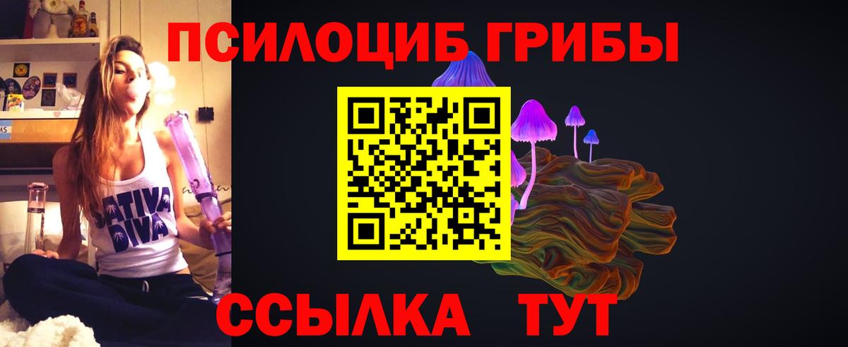 Псилоцибиновые грибы мицелий Коркино