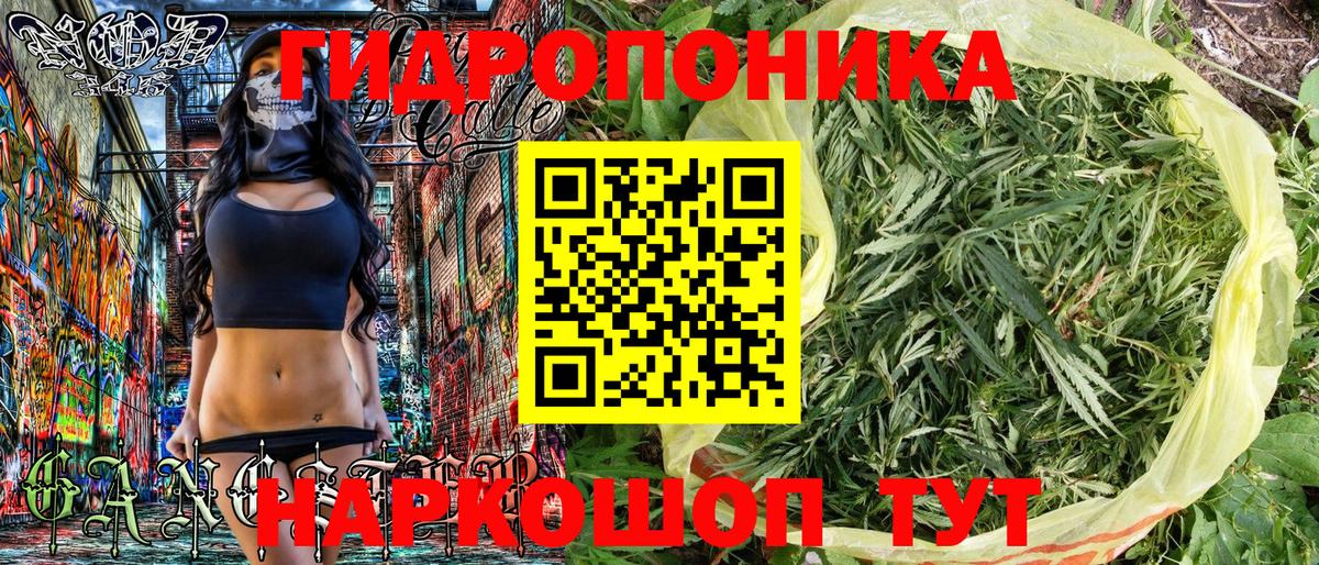 Каннабис OG Kush Коркино